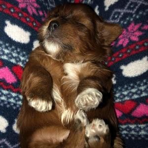 Meet your Posher, Beverley